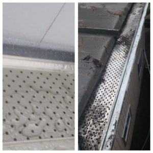 gutter cleaning