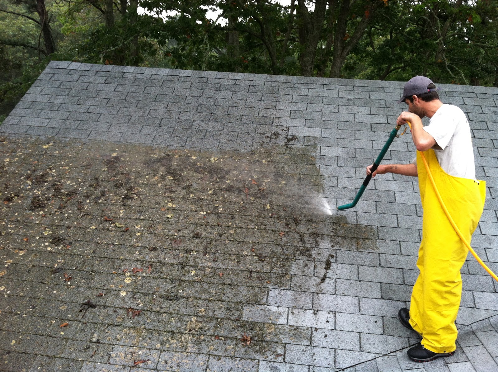 roof cleaning professional