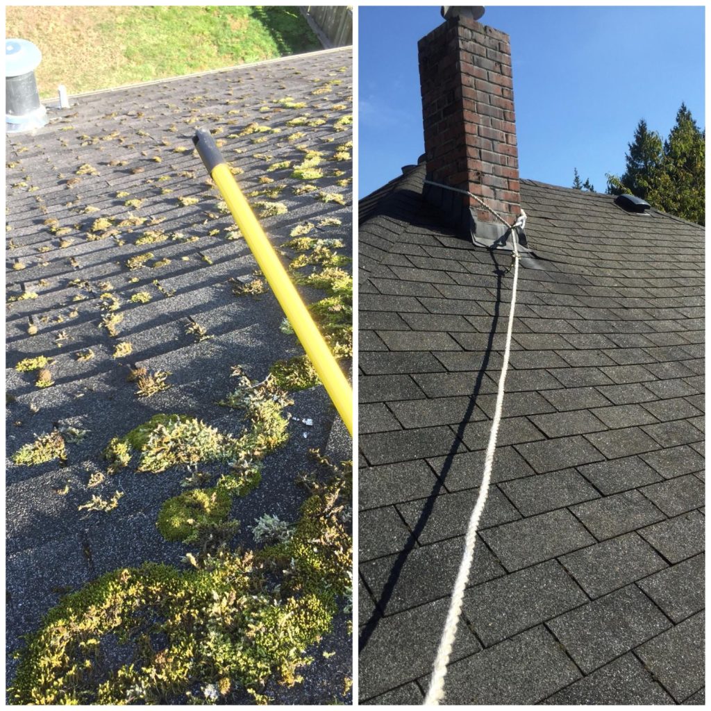 roof cleaning