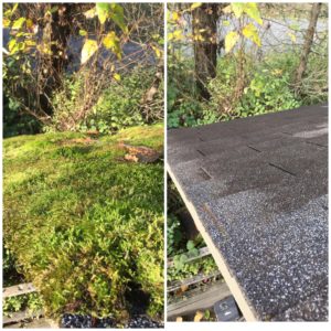 roof moss removal in Vancouver