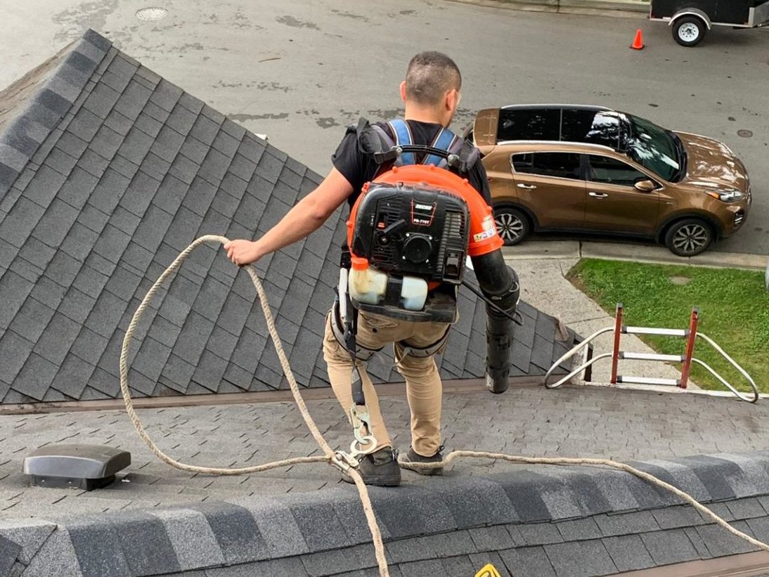 Everything You Need To Know About Roof Cleaning