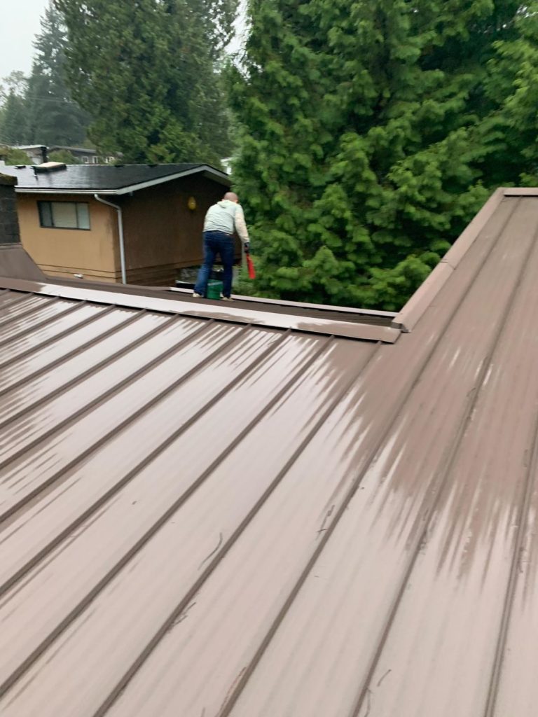 Roof cleaning - metal roof