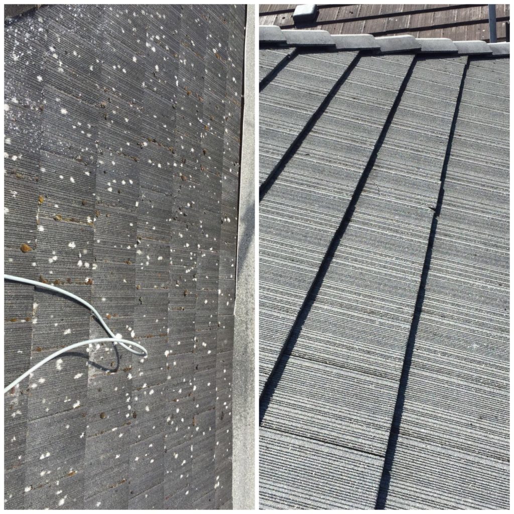 roof cleaning - before and after pressure washing roof