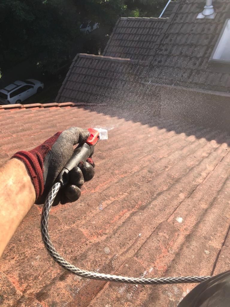 roof cleaning - concrete tile