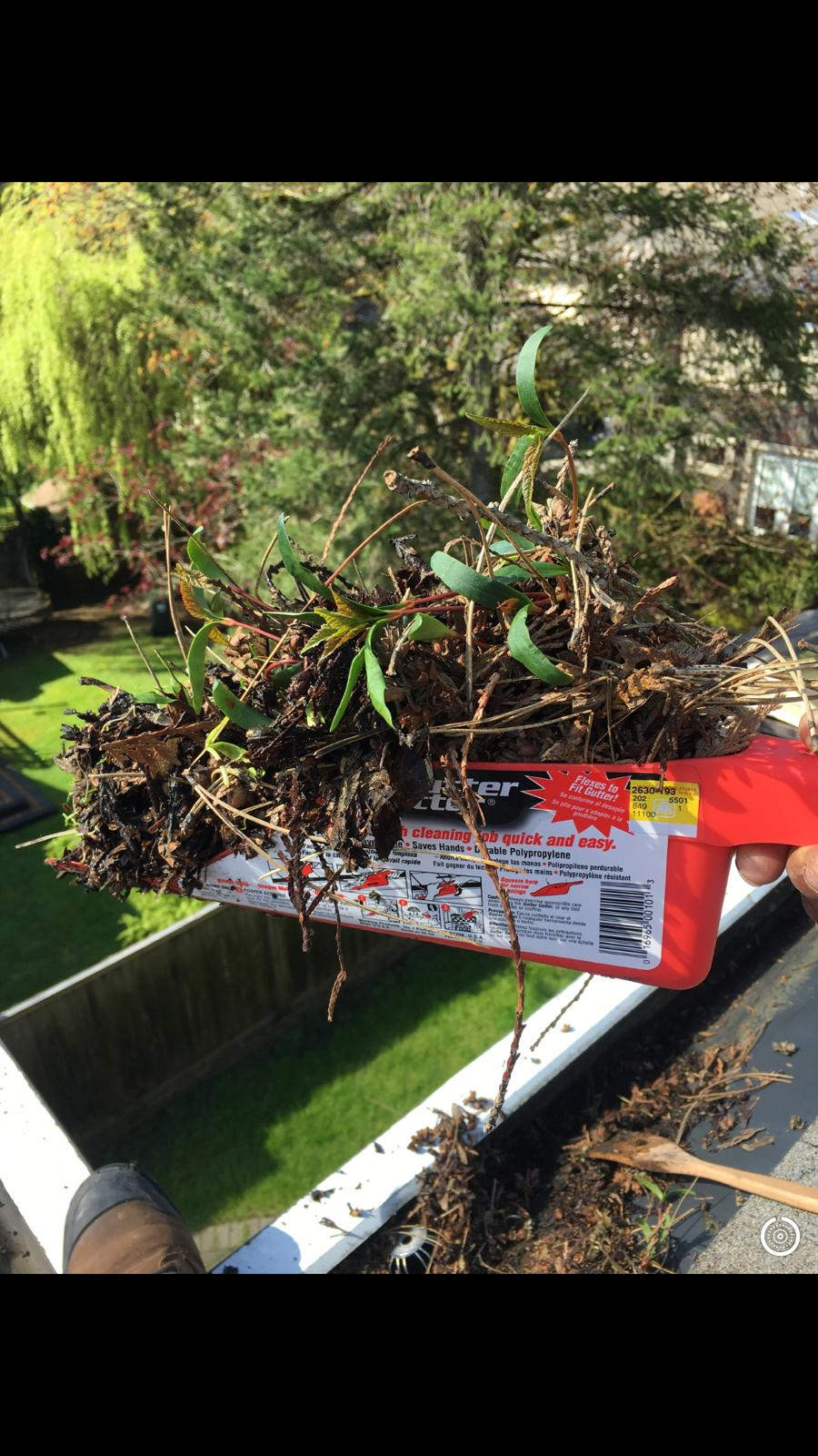 The True Cost of Gutter Cleaning in Greater Vancouver: What You Need to Know